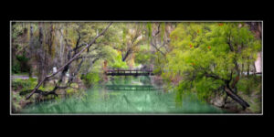 Academia True Spanish Experience - Cuenca