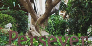 Academia Persever - Barcelona